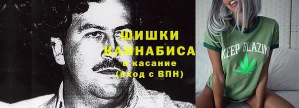 хмурый Верхний Тагил